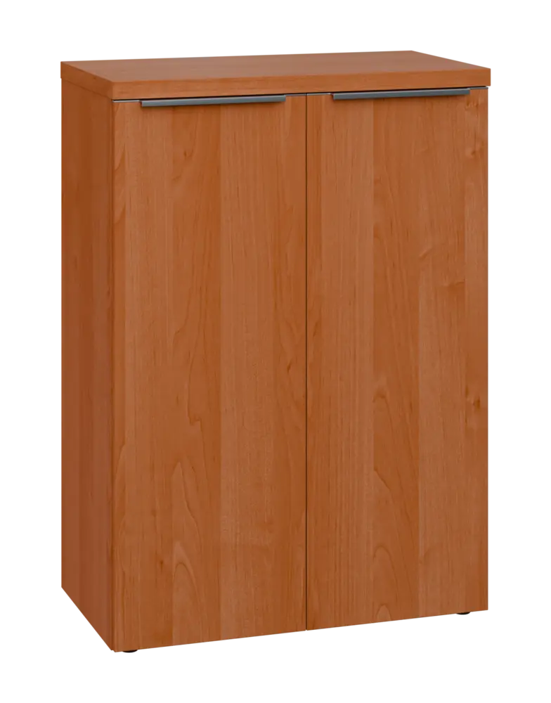 SIN 3 - 8D kancelářská skříň, 2-dveřová, 1120x800x400, olše jantar